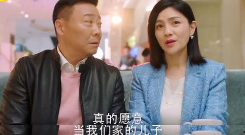 上门女婿在线观看,爱情与现实的碰撞，一段不平凡的婚姻旅程  第3张